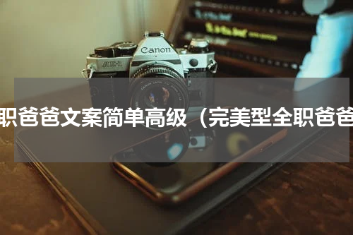 全职爸爸文案简单高级（完美型全职爸爸）
