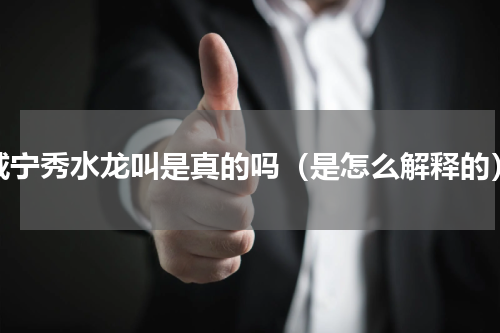 威宁秀水龙叫是真的吗（是怎么解释的）