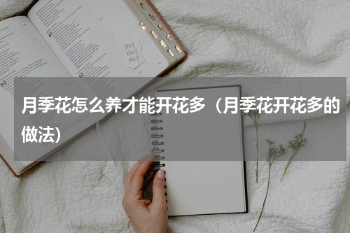 月季花怎么养才能开花多（月季花开花多的做法）