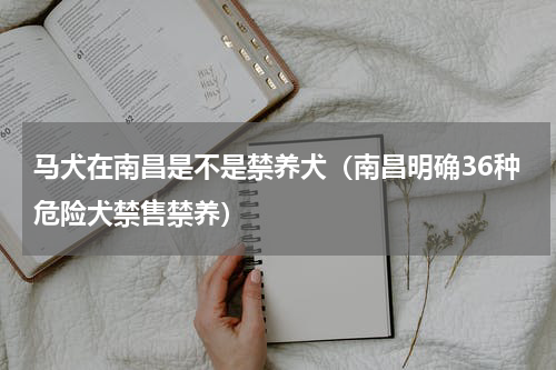 马犬在南昌是不是禁养犬（南昌明确36种危险犬禁售禁养）