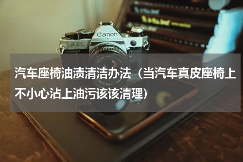 汽车座椅油渍清洁办法（当汽车真皮座椅上不小心沾上油污该该清理）