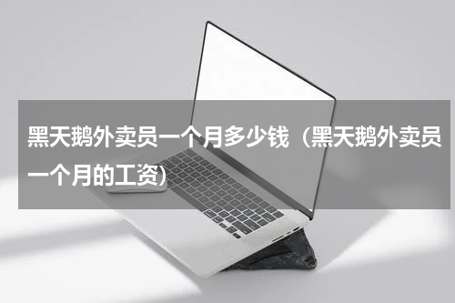 黑天鹅外卖员一个月多少钱（黑天鹅外卖员一个月的工资）