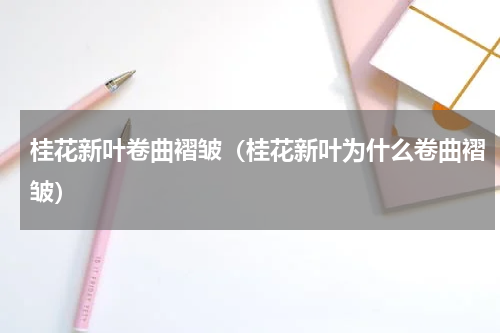 桂花新叶卷曲褶皱（桂花新叶为什么卷曲褶皱）