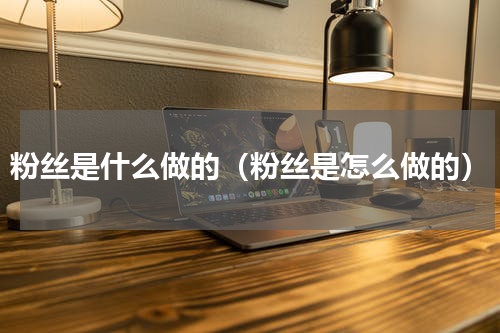 粉丝是什么做的（粉丝是怎么做的）