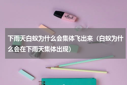 下雨天白蚁为什么会集体飞出来（白蚁为什么会在下雨天集体出现）