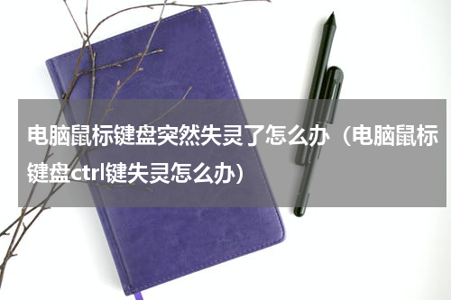 电脑鼠标键盘突然失灵了怎么办（电脑鼠标键盘ctrl键失灵怎么办）
