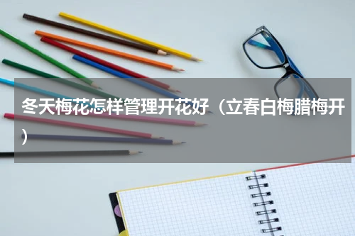 冬天梅花怎样管理开花好（立春白梅腊梅开）