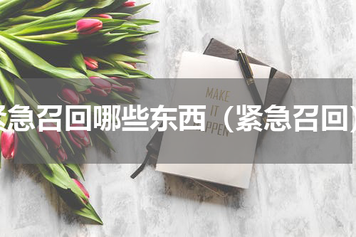 紧急召回哪些东西（紧急召回）