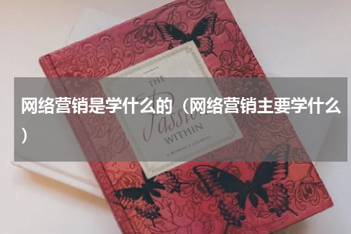 网络营销是学什么的（网络营销主要学什么）
