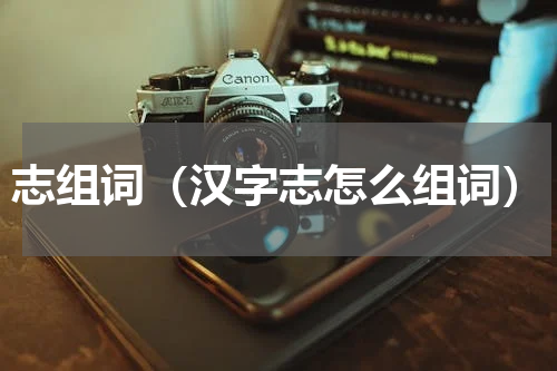 志组词（汉字志怎么组词）