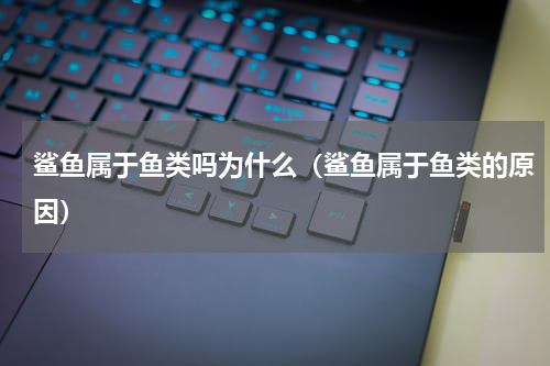 鲨鱼属于鱼类吗为什么（鲨鱼属于鱼类的原因）