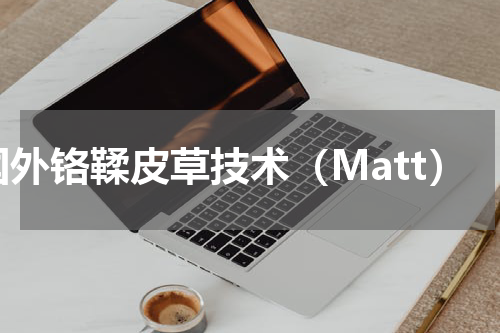 国外铬鞣皮草技术（Matt）