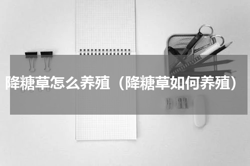 降糖草怎么养殖（降糖草如何养殖）