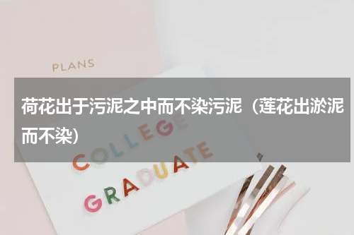 荷花出于污泥之中而不染污泥（莲花出淤泥而不染）