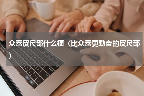众泰皮尺部什么梗（比众泰更勤奋的皮尺部）