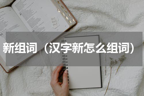 新组词（汉字新怎么组词）