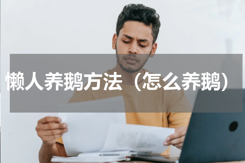 懒人养鹅方法（怎么养鹅）