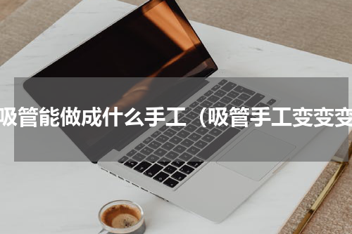 小吸管能做成什么手工（吸管手工变变变）