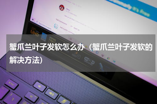 蟹爪兰叶子发软怎么办（蟹爪兰叶子发软的解决方法）