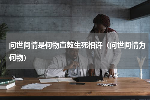 问世间情是何物直教生死相许（问世间情为何物）
