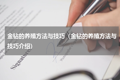 金钻的养殖方法与技巧（金钻的养殖方法与技巧介绍）