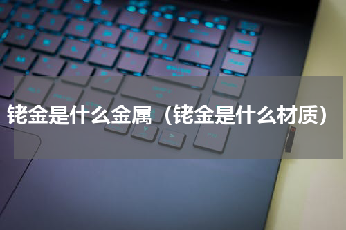 铑金是什么金属（铑金是什么材质）