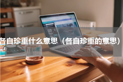 各自珍重什么意思（各自珍重的意思）