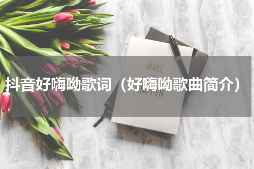 抖音好嗨呦歌词（好嗨呦歌曲简介）