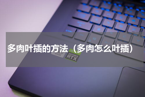 多肉叶插的方法（多肉怎么叶插）