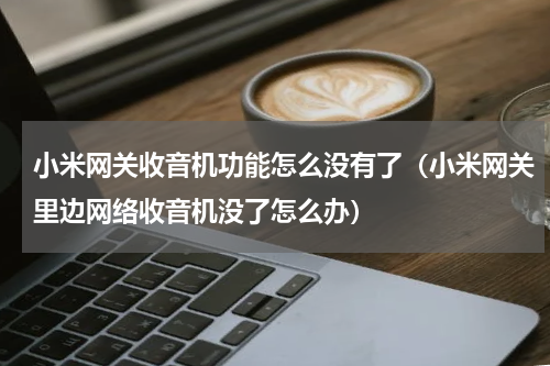 小米网关收音机功能怎么没有了（小米网关里边网络收音机没了怎么办）