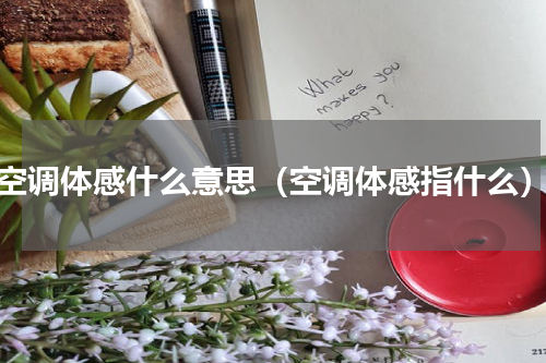 空调体感什么意思（空调体感指什么）
