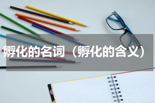 孵化的名词（孵化的含义）