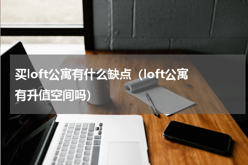 买loft公寓有什么缺点（loft公寓有升值空间吗）