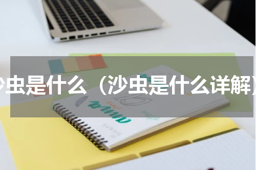 沙虫是什么（沙虫是什么详解）