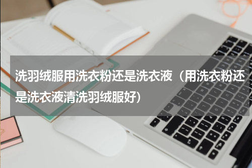 洗羽绒服用洗衣粉还是洗衣液（用洗衣粉还是洗衣液清洗羽绒服好）