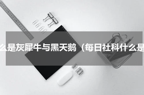 什么是灰犀牛与黑天鹅（每日社科什么是）