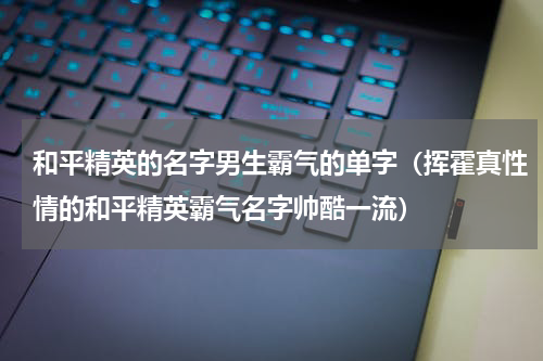 和平精英的名字男生霸气的单字（挥霍真性情的和平精英霸气名字帅酷一流）