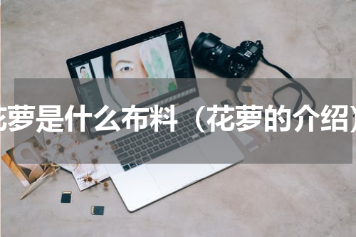 花萝是什么布料（花萝的介绍）