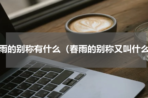 春雨的别称有什么（春雨的别称又叫什么）