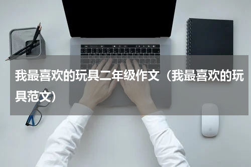 我最喜欢的玩具二年级作文（我最喜欢的玩具范文）