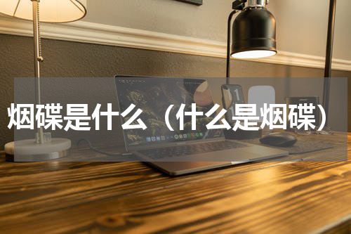 烟碟是什么（什么是烟碟）