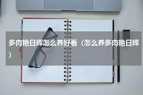 多肉艳日辉怎么养好看（怎么养多肉艳日辉）