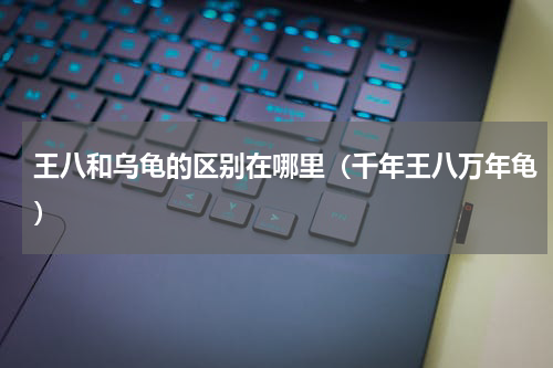 王八和乌龟的区别在哪里（千年王八万年龟）