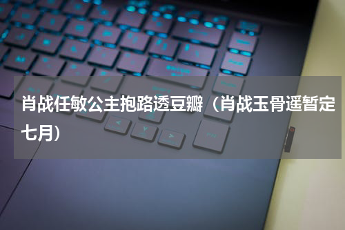肖战任敏公主抱路透豆瓣（肖战玉骨遥暂定七月）