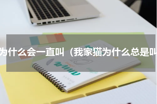 猫为什么会一直叫（我家猫为什么总是叫）