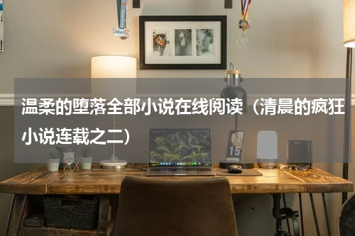 温柔的堕落全部小说在线阅读（清晨的疯狂小说连载之二）