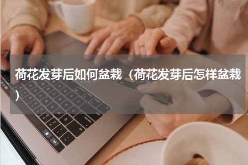 荷花发芽后如何盆栽（荷花发芽后怎样盆栽）