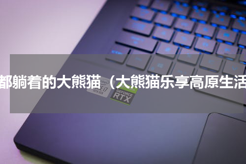 成都躺着的大熊猫（大熊猫乐享高原生活）