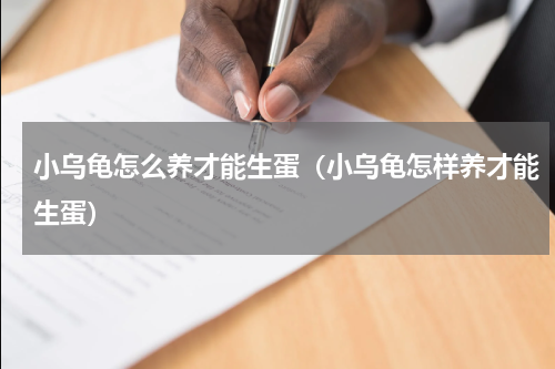 小乌龟怎么养才能生蛋（小乌龟怎样养才能生蛋）