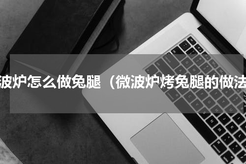 微波炉怎么做兔腿（微波炉烤兔腿的做法）